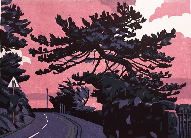 Millionaire Row (pink) by Ann Lewis PRCA