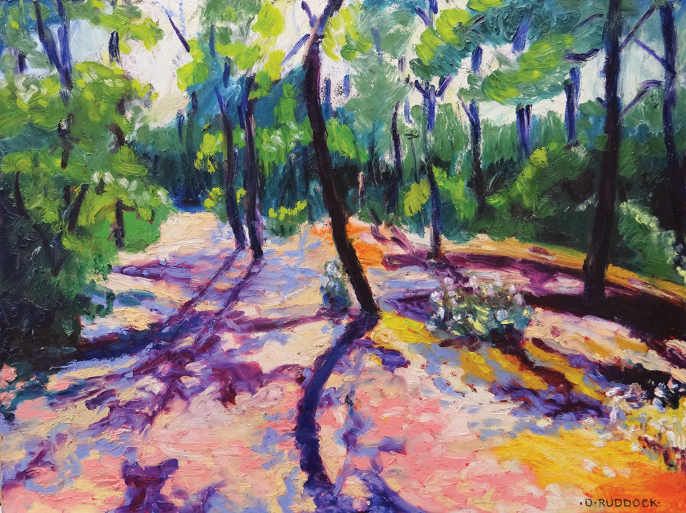 The Path to the Beach by Dermod Ruddock