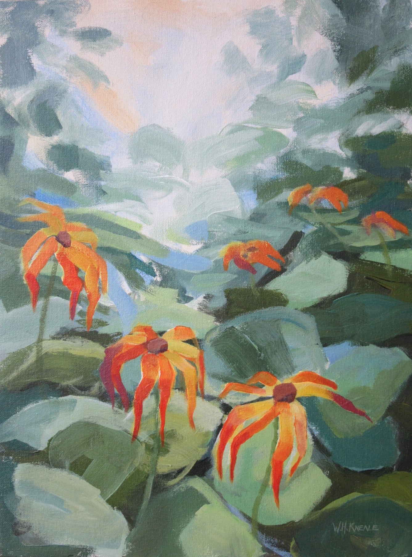 Show of Orange Flowers by Bill Kneale