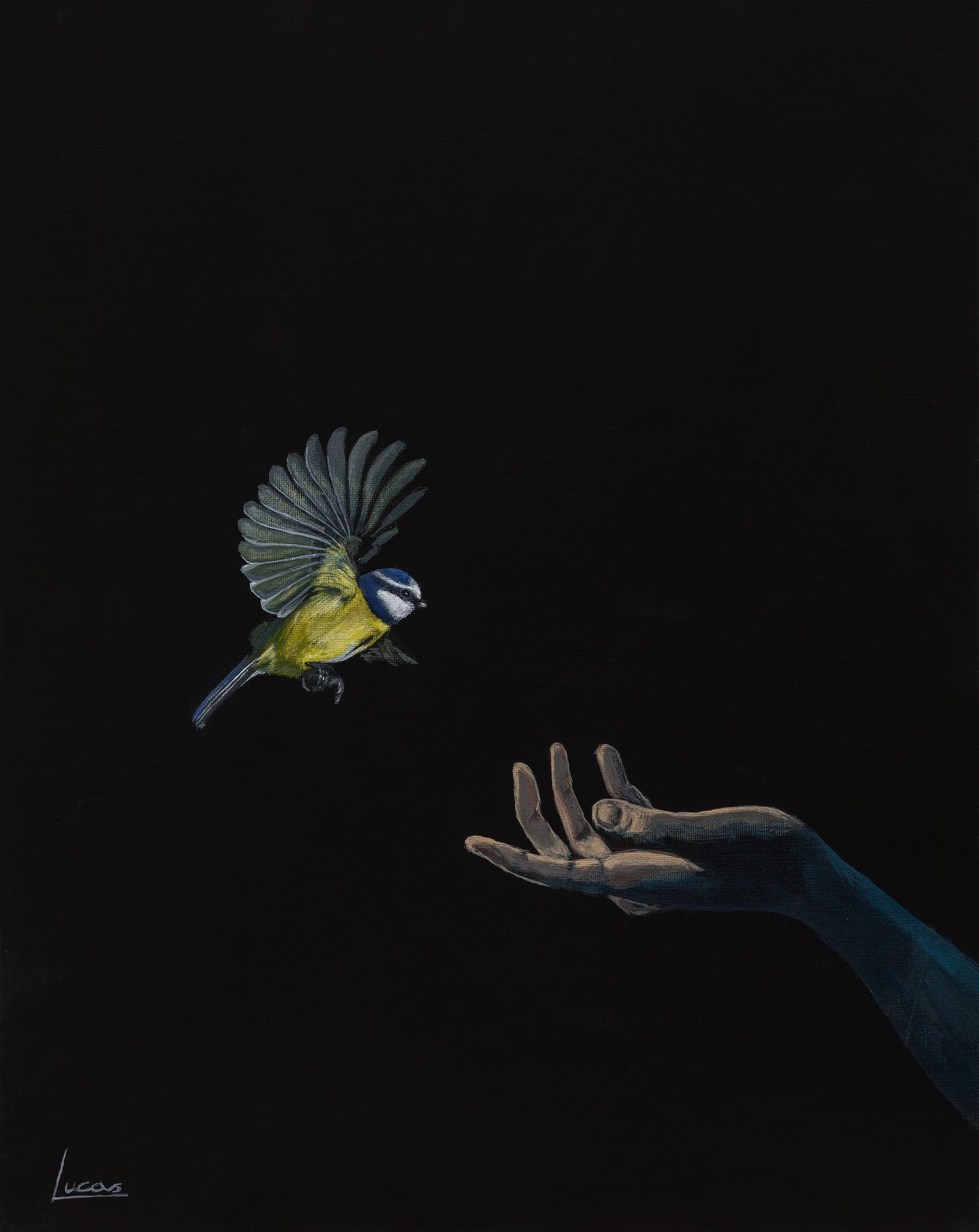 Bird in the Hand by Lucas Davey