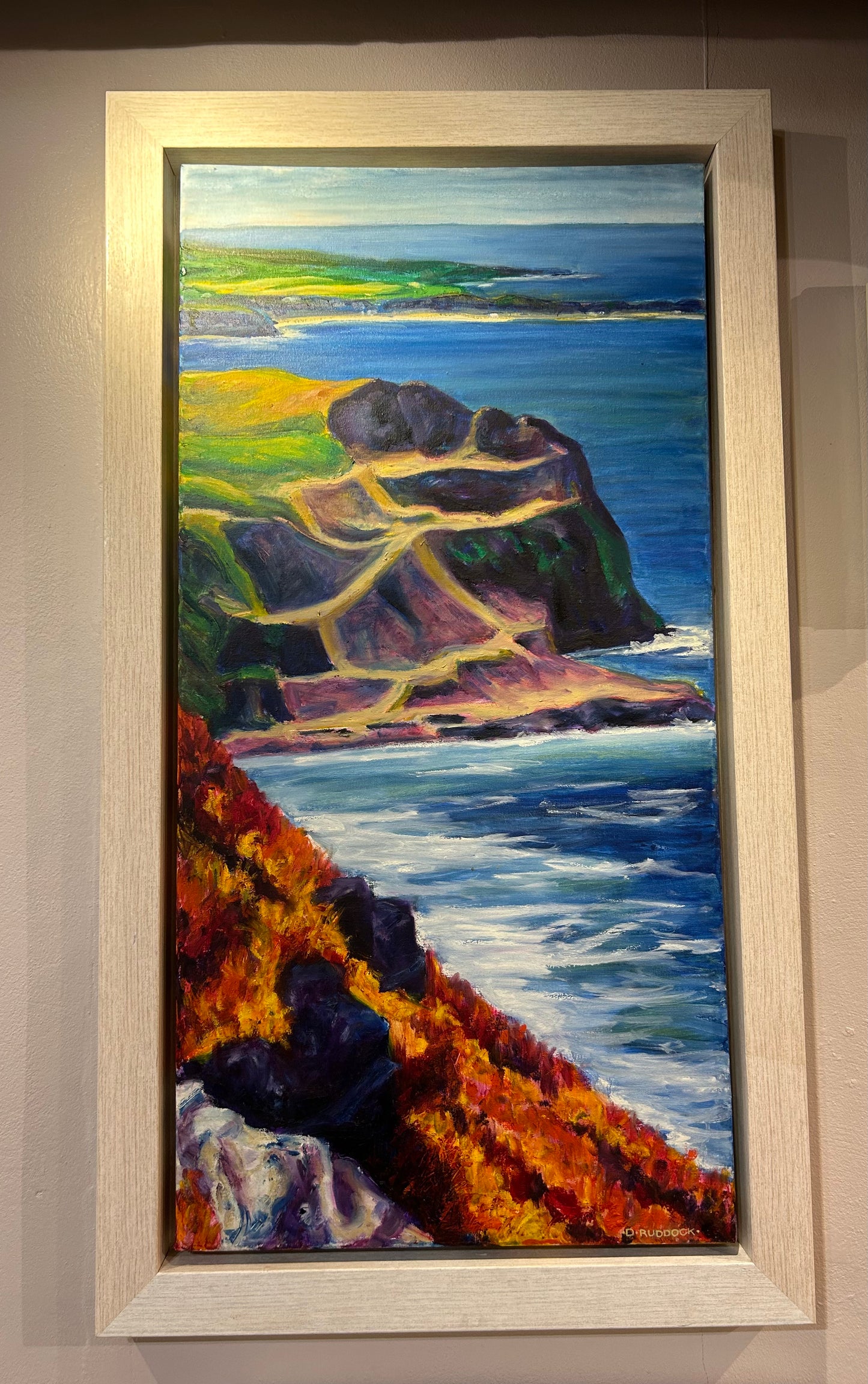 Bird Rock & Nefyn Bays by Dermod Ruddock